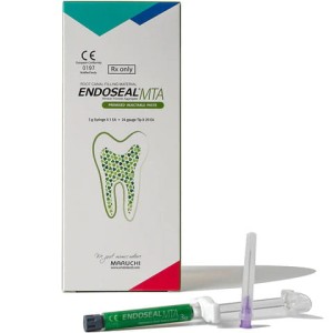 ENDOSEAL MTA Sealer 3g. /strzykawka/