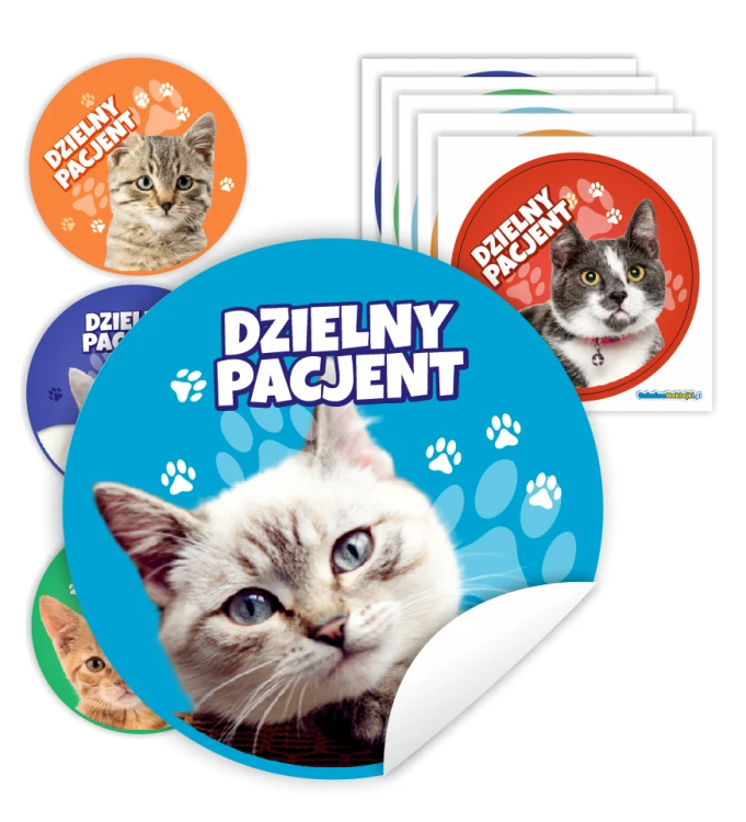 9_MS_011.png