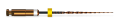 4_SP_007A.png