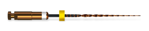 4_SP_007A.png