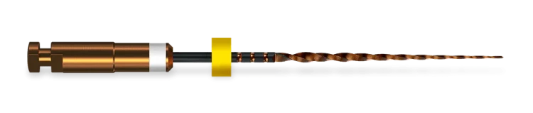 4_SP_007A.png