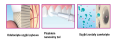 7_HW_045B.png